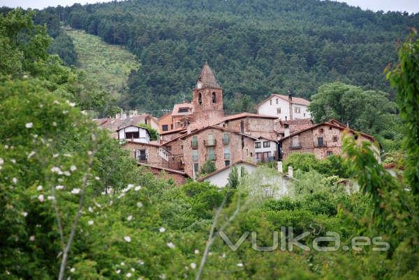 Casa Rural El Olmo 