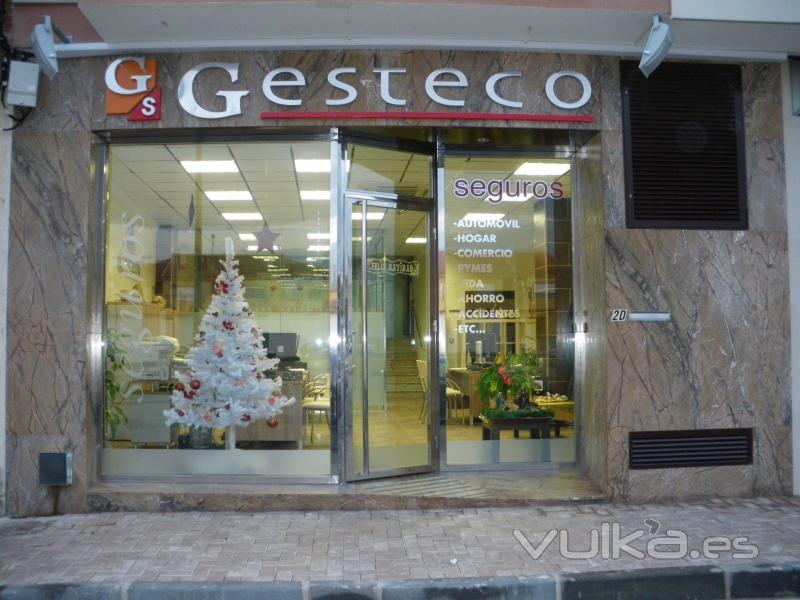 Fachada en Navidad de Gesteco