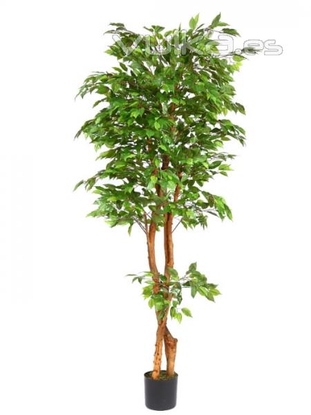 Ficus artificiales de calidad. Arbol ficus artificial 213 oasisdecor.com