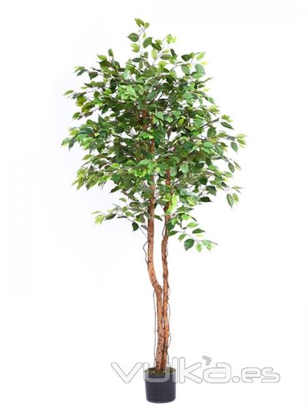 Ficus artificiales economicos. Arbol ficus artificial 183 oasisdecor.com