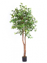 Ficus artificiales economicos arbol ficus artificial 183 oasisdecorcom