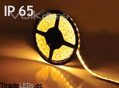 Tira de LEDs Blanco Clido, 300 LEDs, 5 Metos. Con proteccin IP65 y cinta de Doble Cara 3M