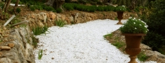 Diseno de jardines