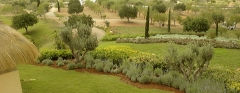 Mantenimiento de jardines