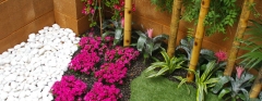 Ejecucion de jardines y terrazas asesoramiento a domicilio