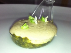 Un plato elaborado con nuestros productos tartar de algas al curry con espuma de setas