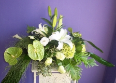 Arreglo anthurium y oriental