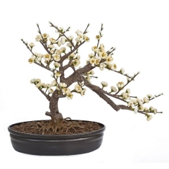Bonsai artificial almendro 36 en lallimonacom
