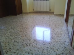 Vivienda en lodosa