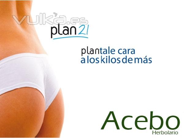 http://www.quechollo.es/deals/plan-21-dieta-acebo-70-euros