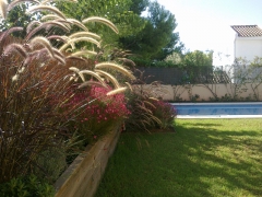 Jardineras con plantas