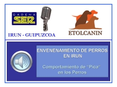 Adiestramiento perros en san sebastian