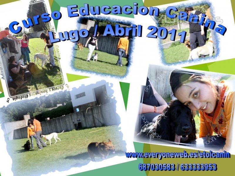 Adiestramiento Canino en Galicia, Lugo Cursos, Talleres y Seminarios Educacion Canina