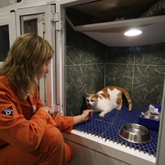 Hospital veterinario cma - foto 15