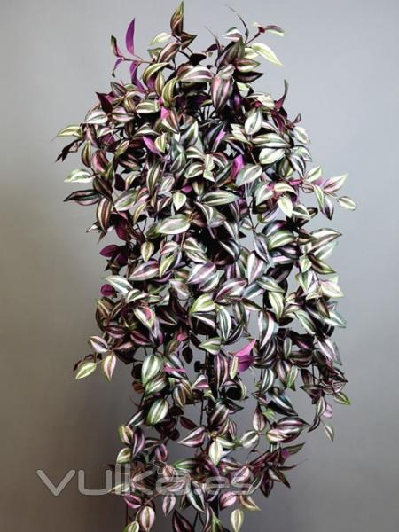 Plantas artificiales economicas. Planta colgante tradescantia zebrina artificial oasisdecor.com