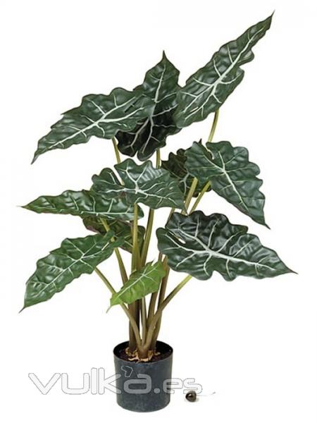 Plantas artificiales de calidad. Alocasia cuprea artificial oasisdecor.com