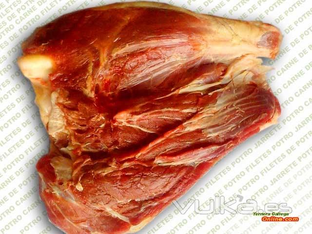 Jarrete de potro, es una carne muy rica en vitamina B, muy tierna y de fácil digestión, lo que la ha