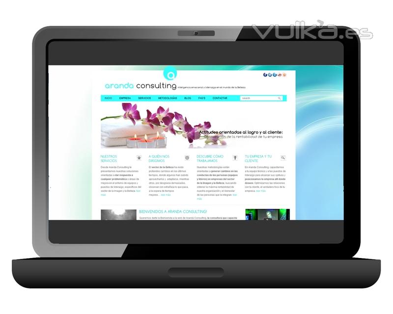 Site corporativo para www.arandaconsulting.es