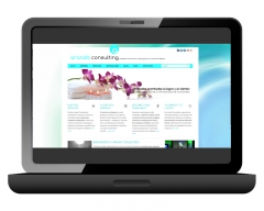 Site corporativo para wwwarandaconsultinges