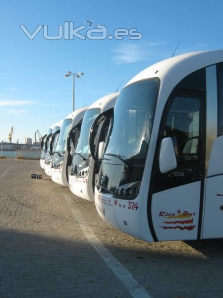 Puerto de Cdiz. Rico Bus.