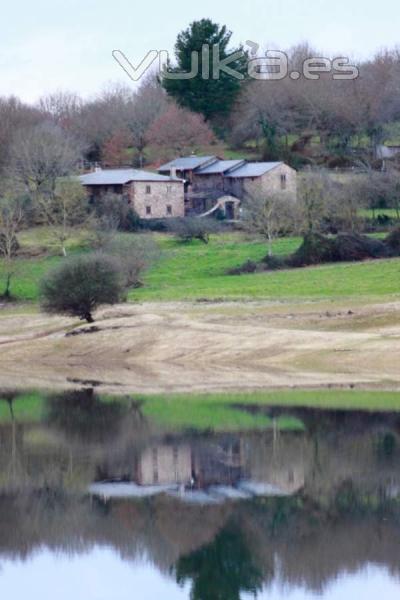 Reflejándose en el pantano