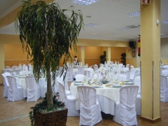 SALON DE CELEBRACIONES INFANTA CRISTINA