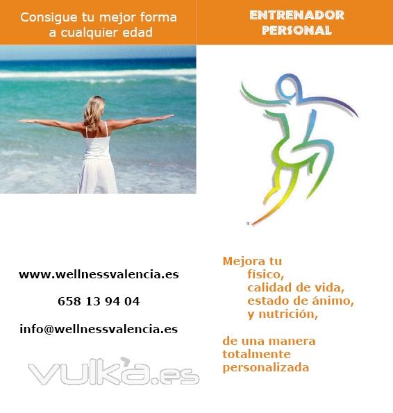 Entrenadores personales Wellnessvalencia.es salud bienestar