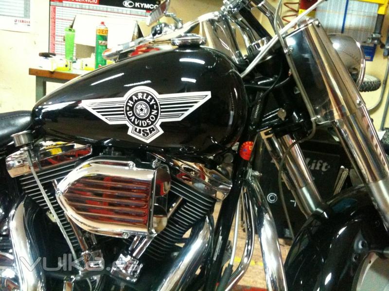 HARLEY DAVIDSON