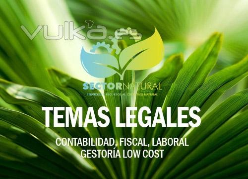 Servicios de asesora y gestin legal, contable, laboral, etc. LOW COST!