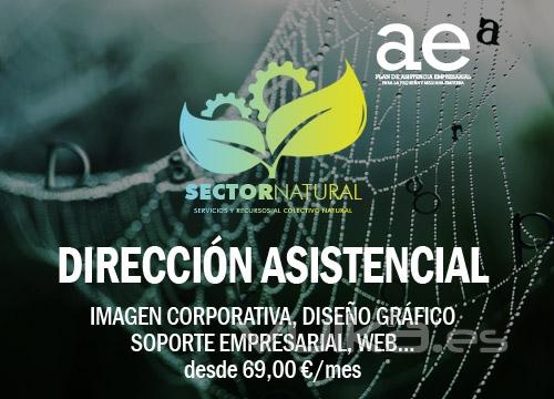 Plan de Asistencia Empresarial AE, outsourcing desde 69,00 EUR/mes