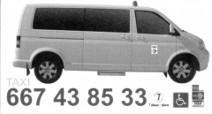 Taxi hasta 7 plazas, ideal para grupos.