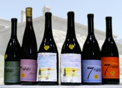 Vinos 7 Navas