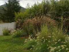 Jardin de gramineas