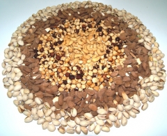 FRUTOS SECOS RECIEN ELABORADOS