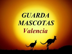 Foto 4 paseo de mascotas en Valencia - Guardamascotas  -alojamiento en Casas Particulares o a Domicilio-