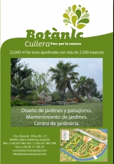 Nuestra publi en la revista espadice de la asociacion botanica espanola de palmeras y cycas