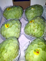 Chirimollas con D.O