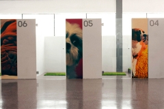 Habitaciones de nuestros huespedes dog village