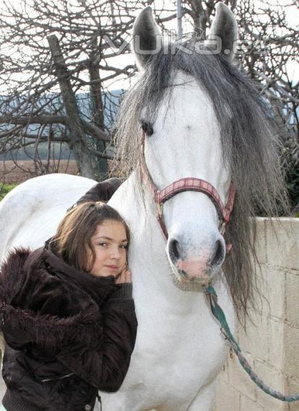 El Caballo: En nuestro Subconsciente educa y perpeta la LIBERTAD Y FUERZA DE CONQUISTA. 