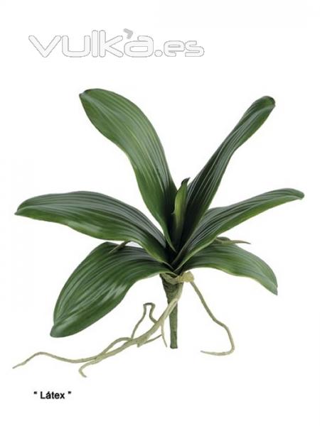 Plantas artificiales de calidad. Hoja phalaenpsis artificial con raices Oasis Decor