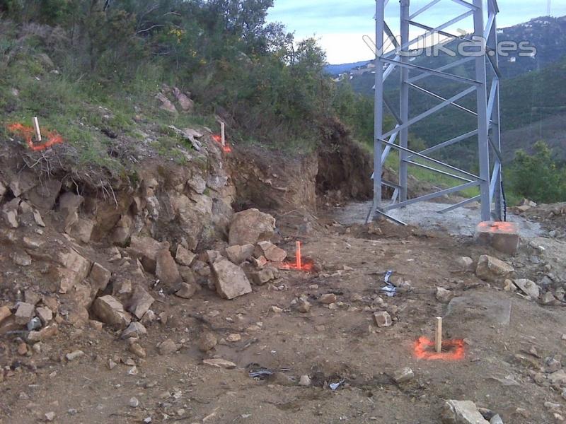 Replanteig torres de la xarxes elctriques