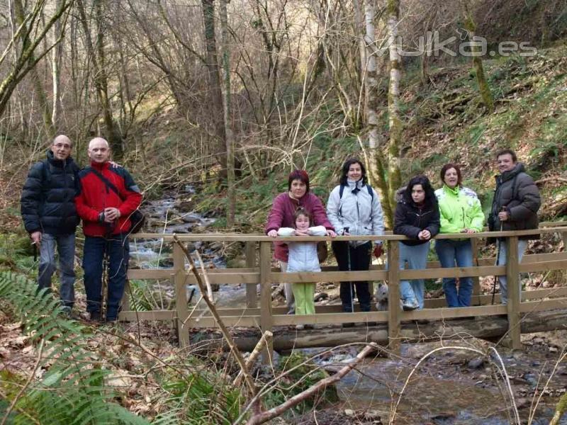 Paseos guiados por el Bosque de Bertiz