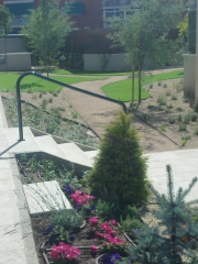 Jardines de bajo mantenimiento