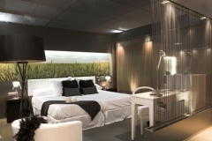 Habitacion piloto