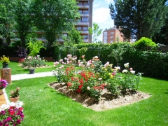 Residencia geriatrica las rosas madrid - foto 18