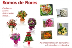 Foto 105 jardineras en Sevilla - Floristeria Aloe