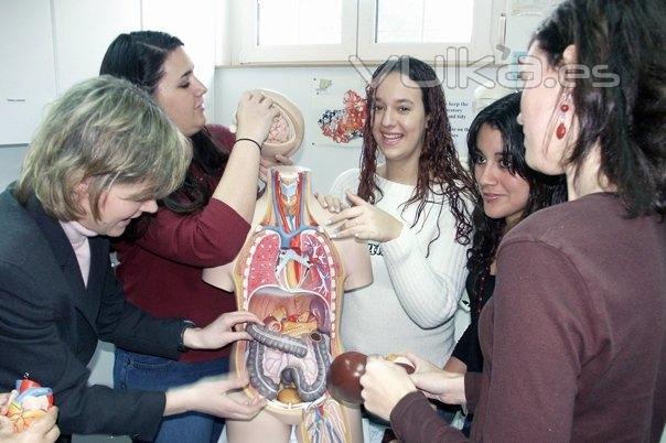 Students in the sciences have the opportunity to learn Spanish, live in Madrid, and make progress toward their ...