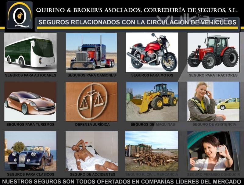 QUIRINO & BROKERS - Seguros ms populares relacionados con la circulacin de vehculos.