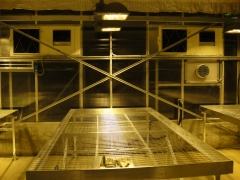 Iluminacion en invernadero para plantas