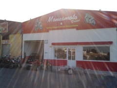 Monesmoto david